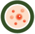 xicon3